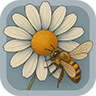Equipment Required | Beekeeping & Apiculture Forum